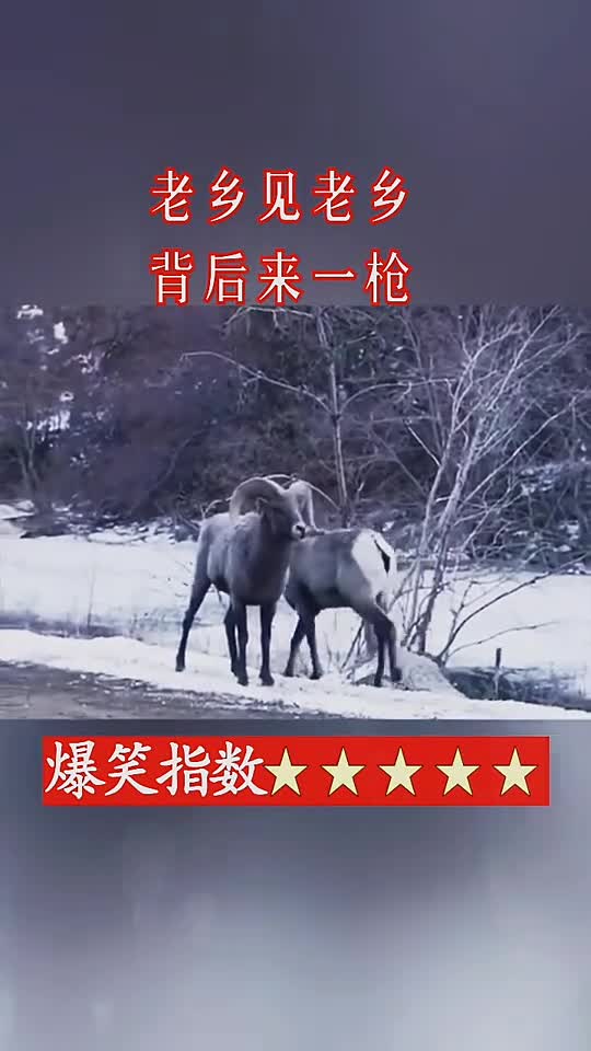 老乡见老乡两眼泪汪汪