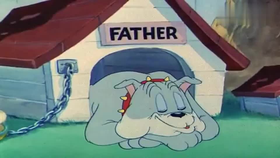 猫和老鼠里的狗父子图片