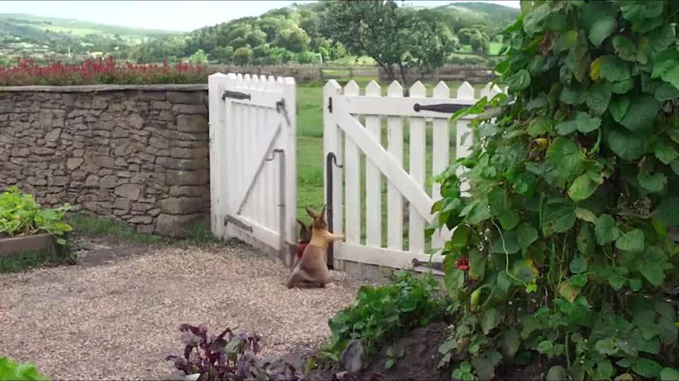 比得兔和它的小伙伴们摘水果蔬菜片段合集