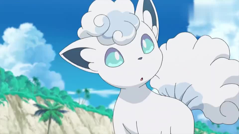 宝可梦日月:小智在特训,白滚滚也来试一试吧,特训能