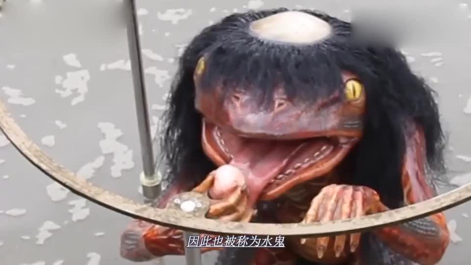 水猴子竟被孟加拉人训练来捕鱼