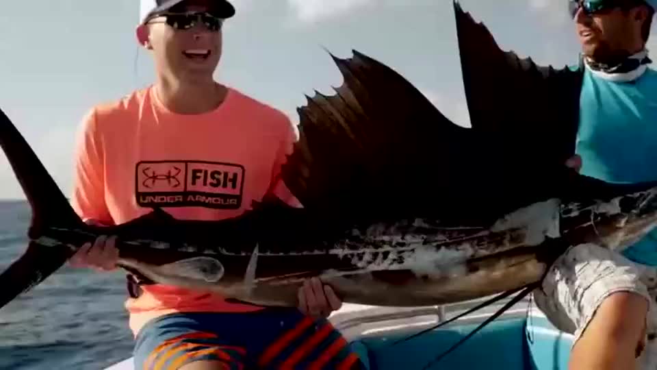 徒手抓剑鱼外国人都这么疯狂吗