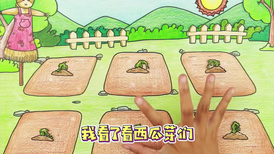 定格动画:西瓜籽别扔,埋在土里还能种出大西瓜