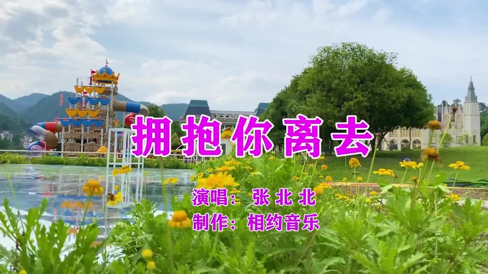 一首dj情歌拥抱你离去网络金曲动感节奏好听极了