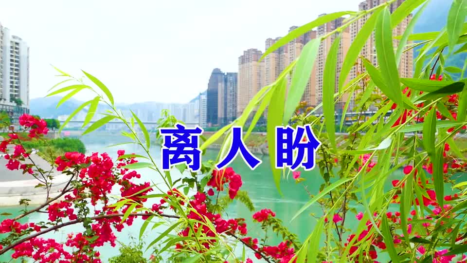 一首情歌《离人盼》唱得太醉人,好听极了!