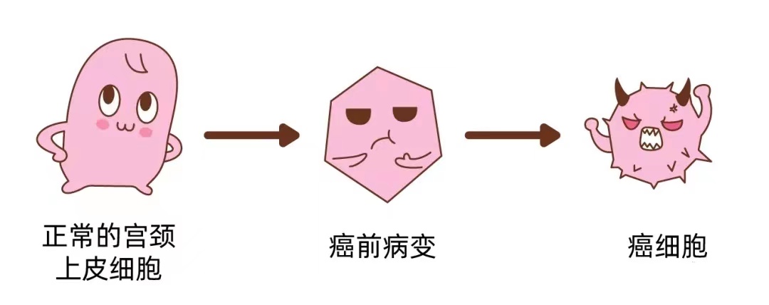 为什么我接种了HPV疫苗还是被感染了？休闲区蓝鸢梦想 - Www.slyday.coM