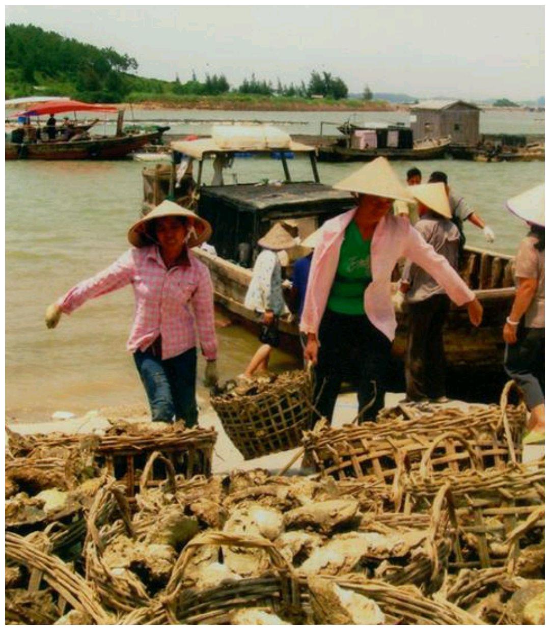 亭口seo优化关键词