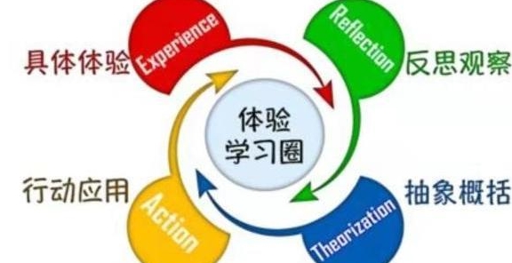 SEO一年可以赚多少钱 教你如何搭建蜘蛛池项目月入上万