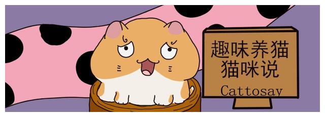 寒冷季节猫的饭量下降 铲屎官需给猫梳毛让猫运动 财经头条 寒冷季节猫的饭量下降 铲屎官需给猫梳毛让猫运动 财经头条