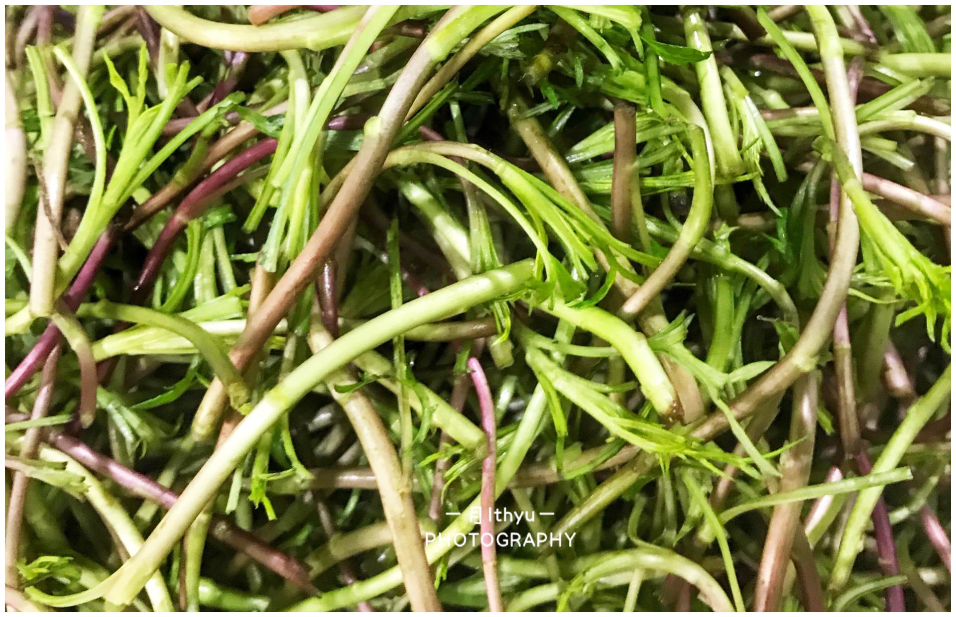 在皖北有种野菜叫蒿苔子拿来炒肉丝全家人抢着吃