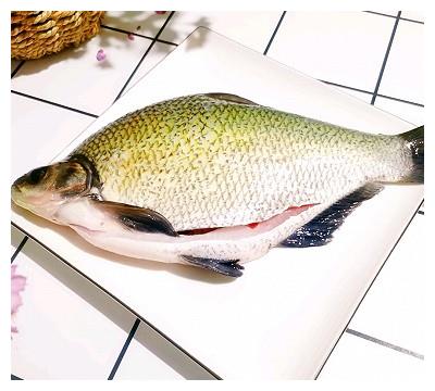 餐桌上的春日限定吃不胖的【红烧鳊鱼】|鳊鱼|配菜|葱花_新浪新闻