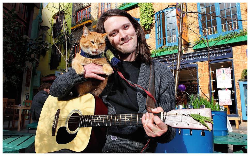 流浪猫鲍勃离世,全网叹息,它有何魅力?