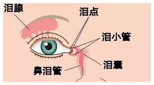 涨知识盘点那些在我们身上的冷知识