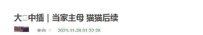 《当家主母》风波升级？群演爆料猫已过世，电击致死当天就埋了休闲区蓝鸢梦想 - Www.slyday.coM