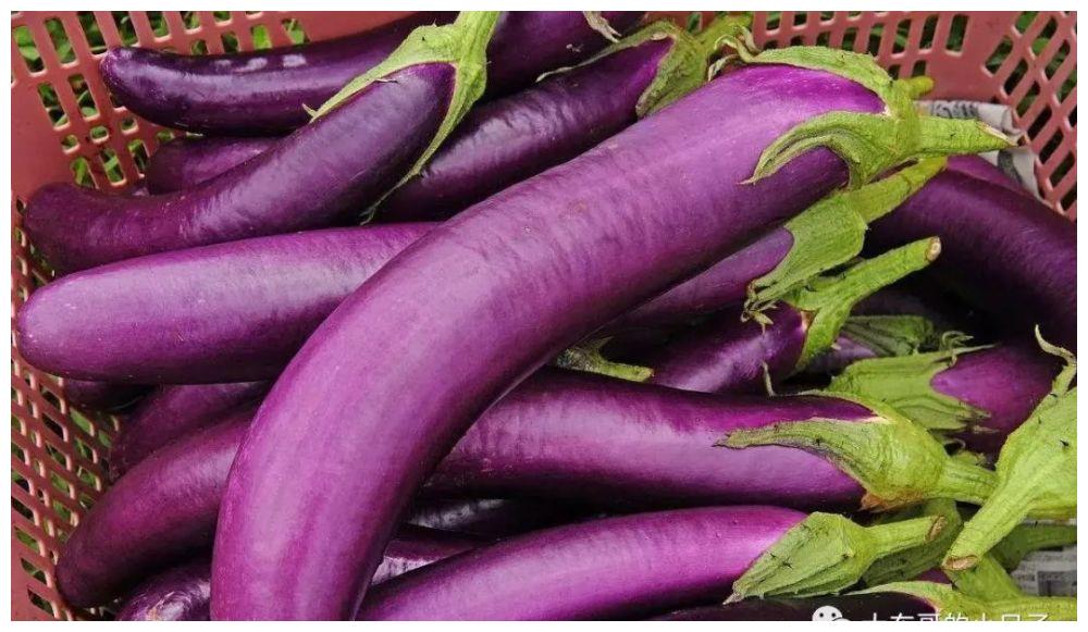 茄子叶子枯黄怎么冶 茄子叶子枯黄如何改善