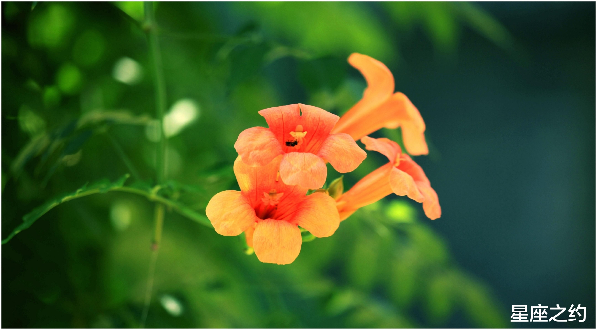 8月10日 日星座运势 大展身手 势在必得的四大星座 星座 运势 备忘 新浪新闻