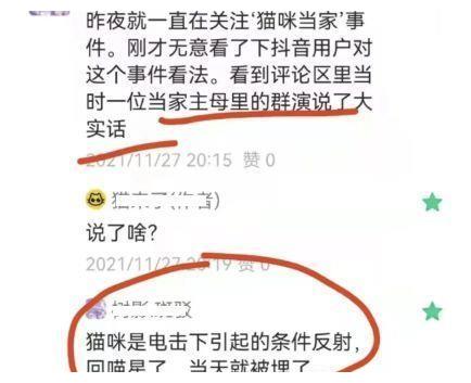 《当家主母》风波升级？群演爆料猫已过世，电击致死当天就埋了休闲区蓝鸢梦想 - Www.slyday.coM