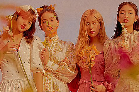 粉墨组合开通微博,除了lisa以外,全员都关注了同一个人