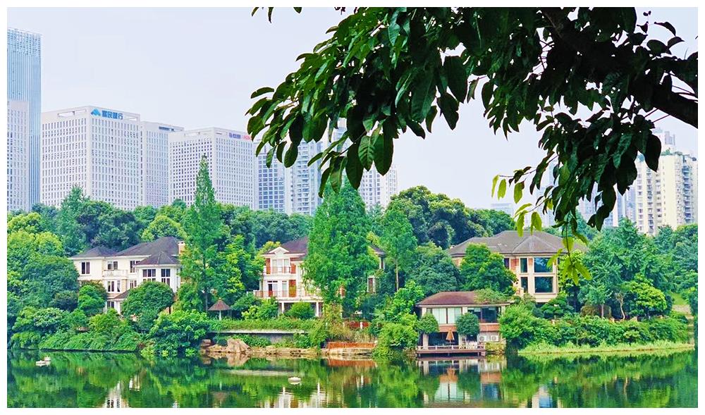 重庆渝北富人区——香樟林,都有哪些"秘密"?