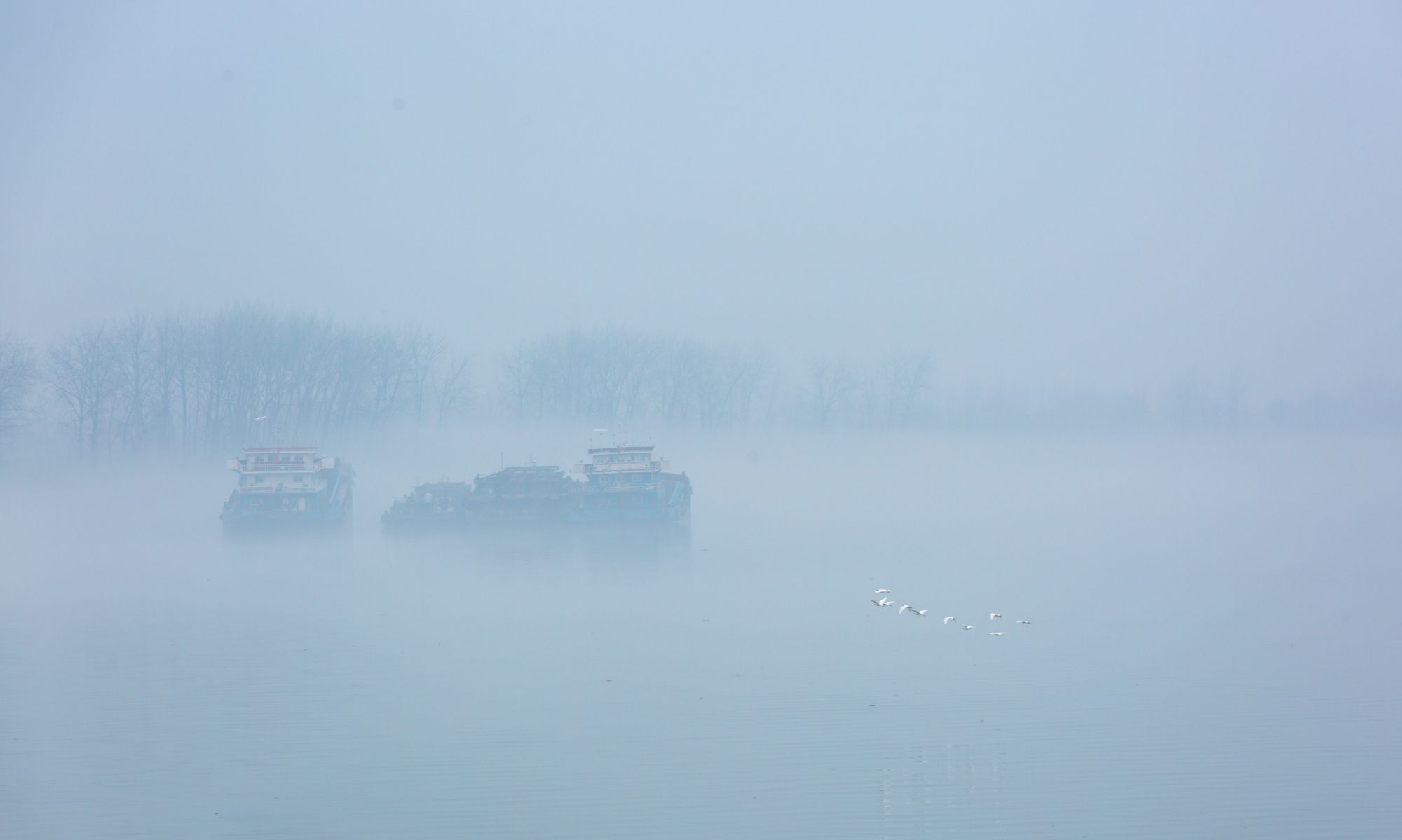 雾锁江舟,宛若仙境!