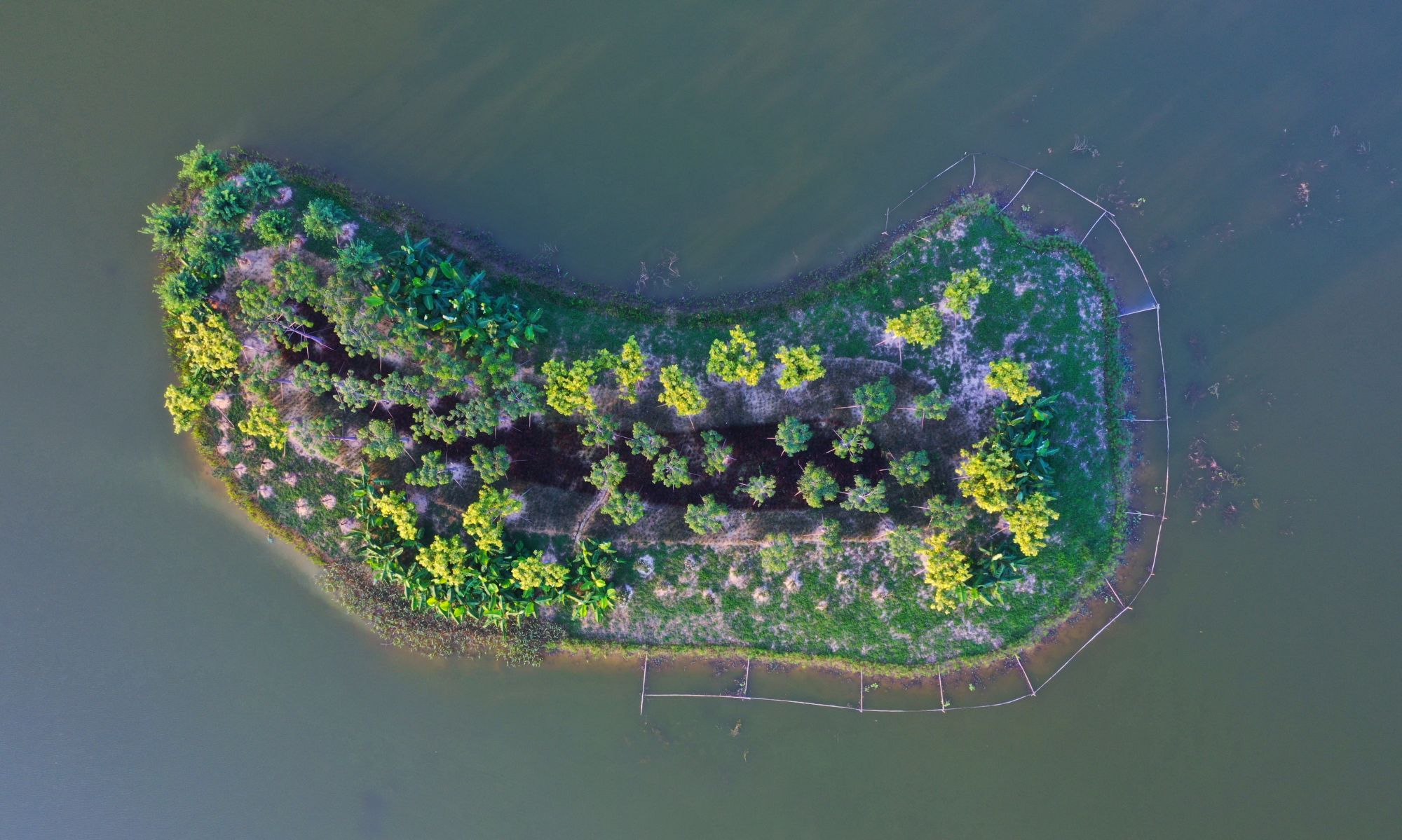 广西宾阳县城北湿地公园_高清图集_新浪网