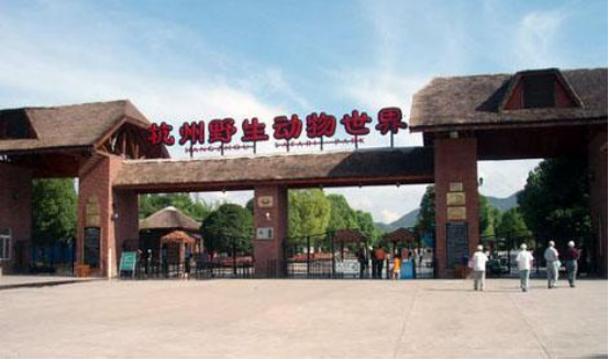 杭州金钱豹出逃暴露管理漏洞引发担忧秦岭野生动物园如何