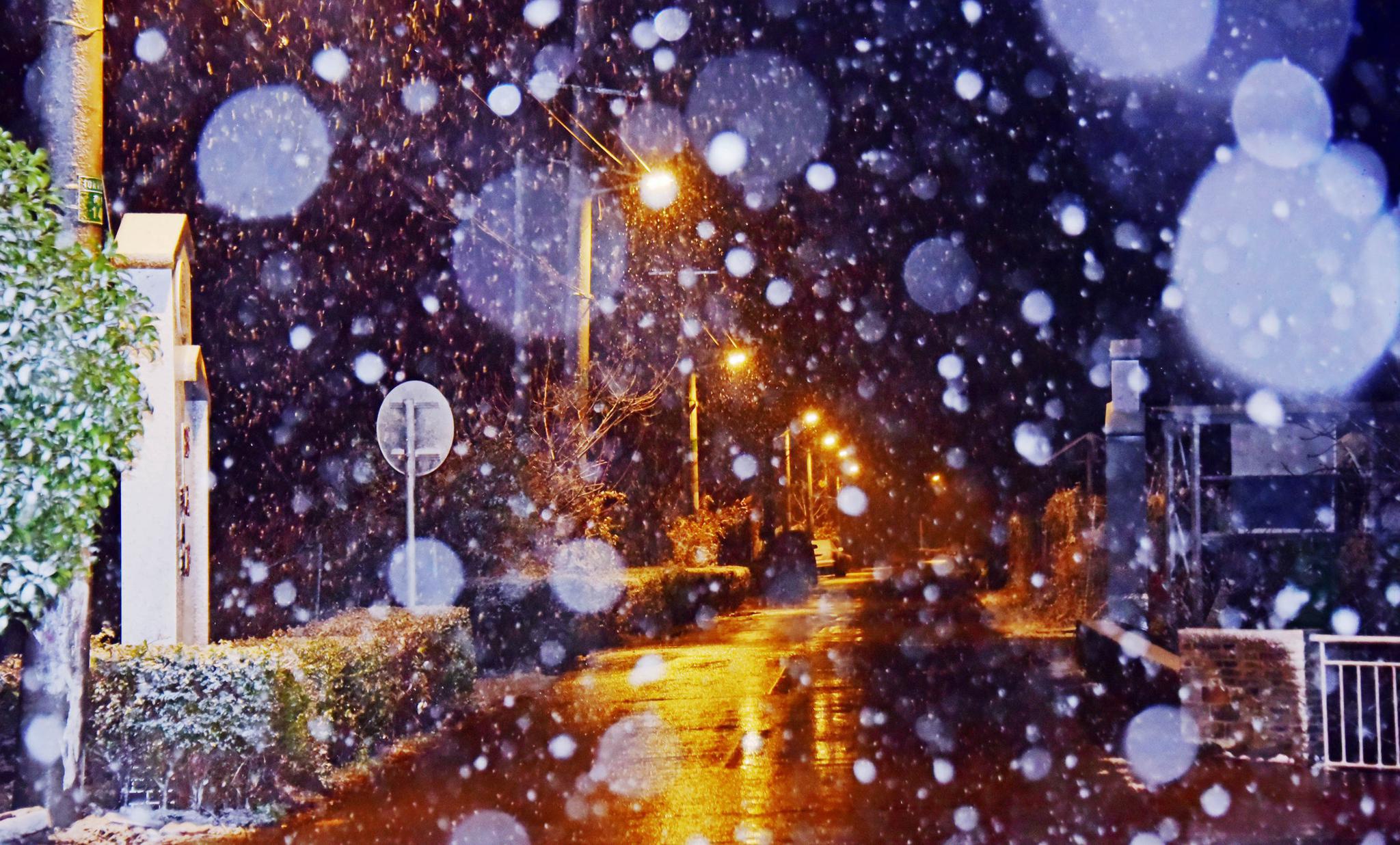 雪天晚上图片