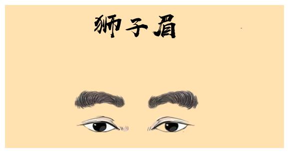 五种眉型命不同,穷人不翻身,富人不受穷,比一比就知道