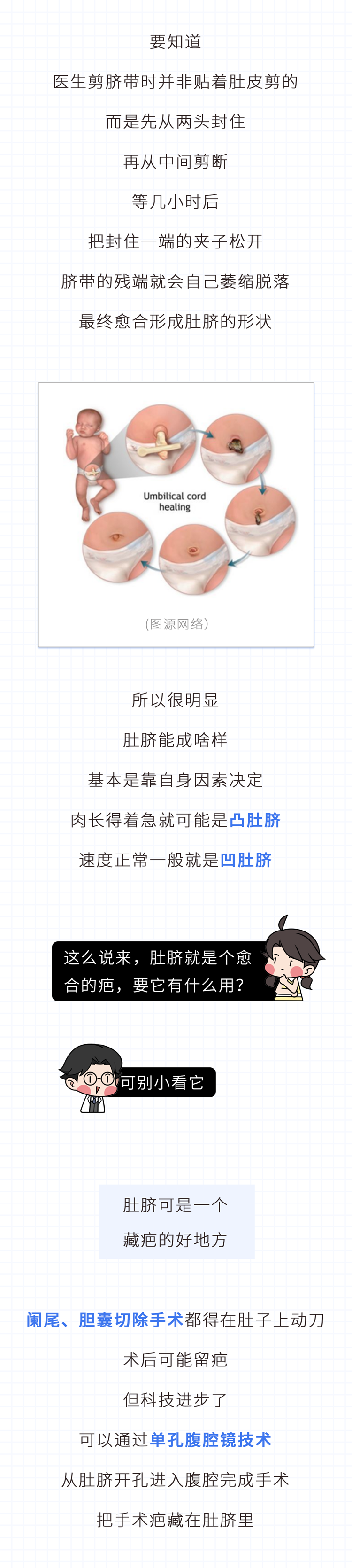 肚脐眼后面连的根本不是肠子！为什么不能乱抠？终于搞...