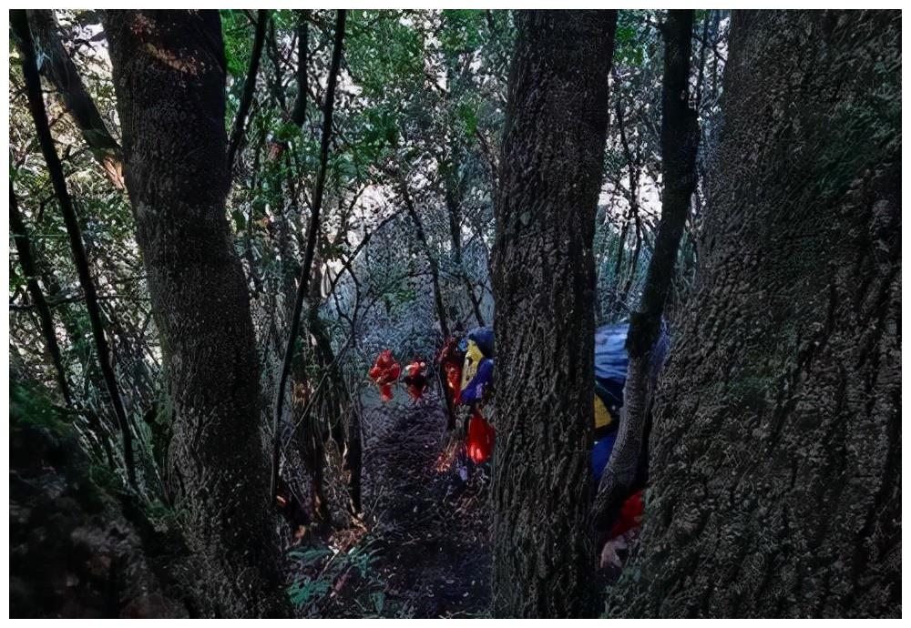 两个误区，两个原因，4名地质人员哀牢山诡异死亡或因雷击？休闲区蓝鸢梦想 - Www.slyday.coM