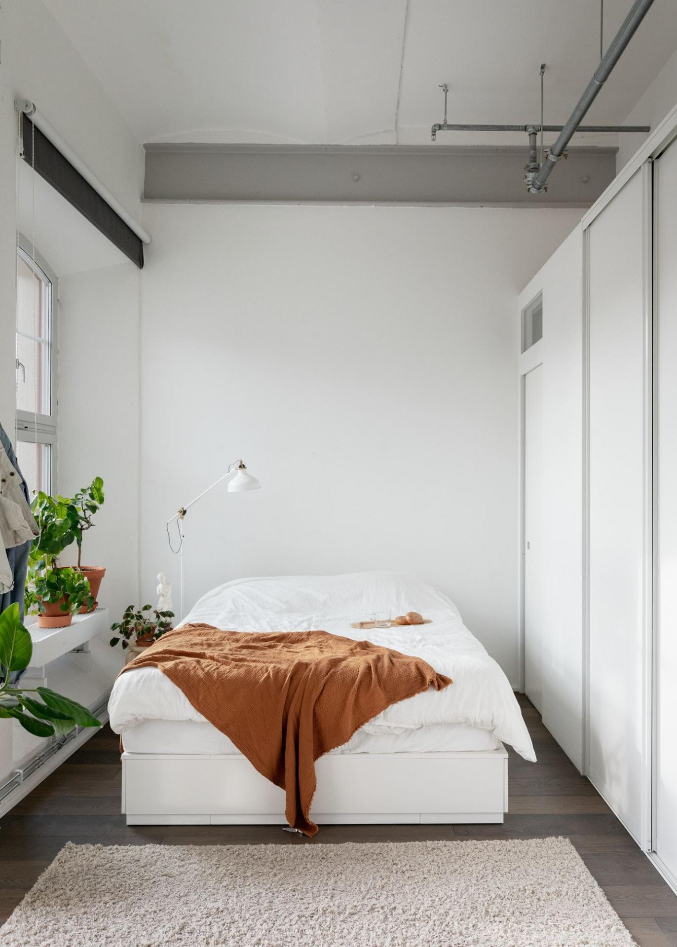 如何让居家环境秒变清新惬意?不仅净化空气,还能让心灵得到治愈