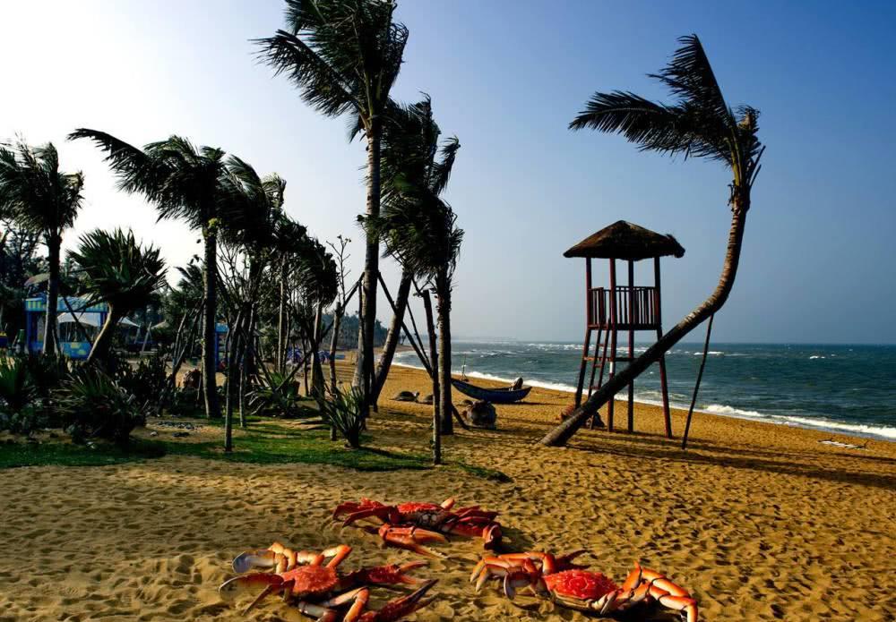 海边游玩时把身体埋沙子里这三点一定要特别注意