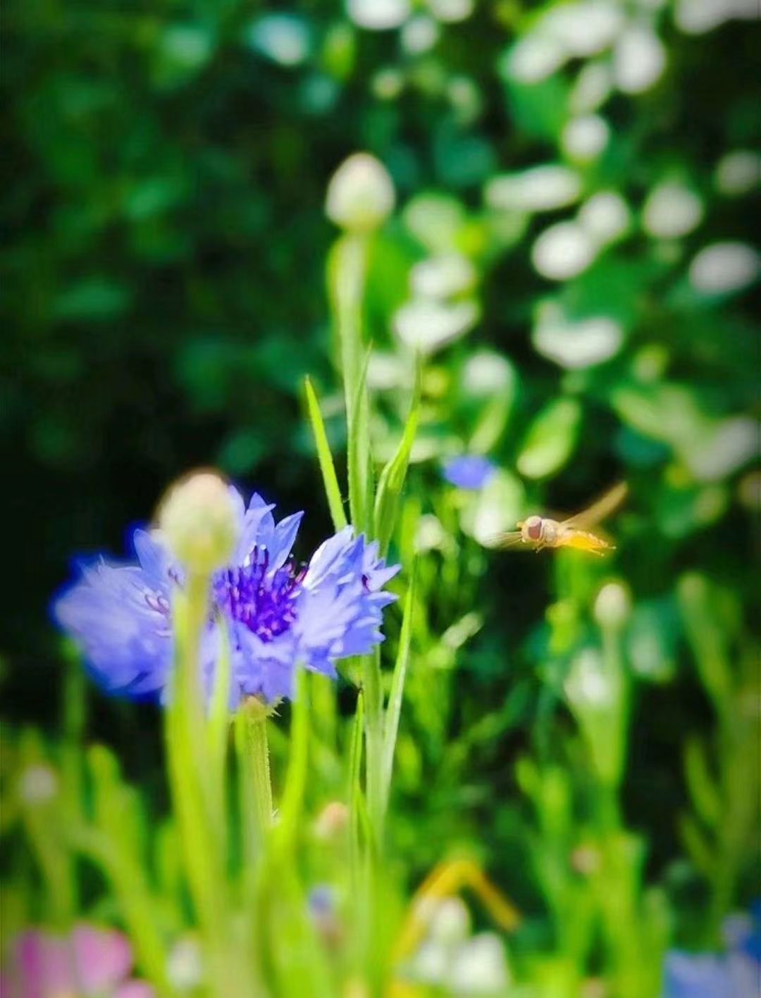 人生是一场追求 也是一场领悟 世间没有不弯的路