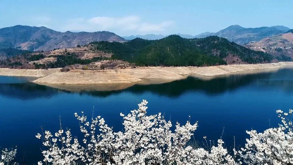 赏花观水白龙湖正当时