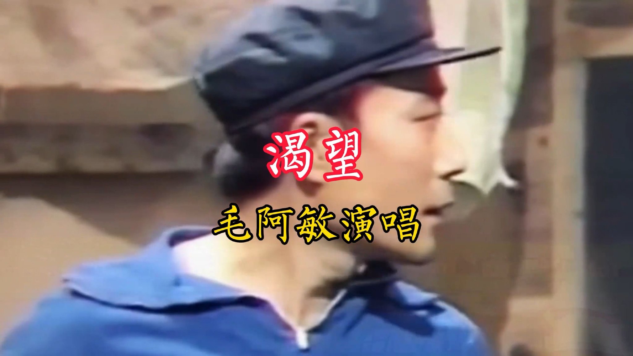 一首由毛阿敏演唱的《渴望》分享给喜欢听歌的友友们