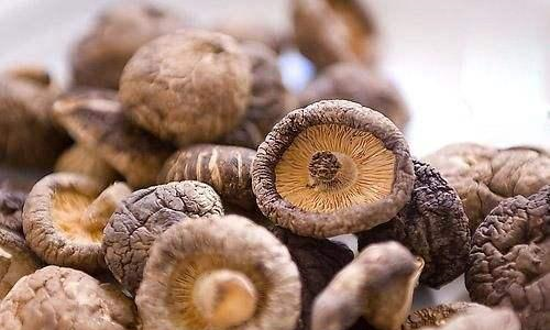 买香菇时,干香菇好还是鲜香菇好?只要满足这些特点,都是好香菇休闲区蓝鸢梦想 - Www.slyday.coM 买香菇时,干香菇好还是鲜香菇好?只要满足这些特点,都是好香菇休闲区蓝鸢梦想 - Www.slyday.coM