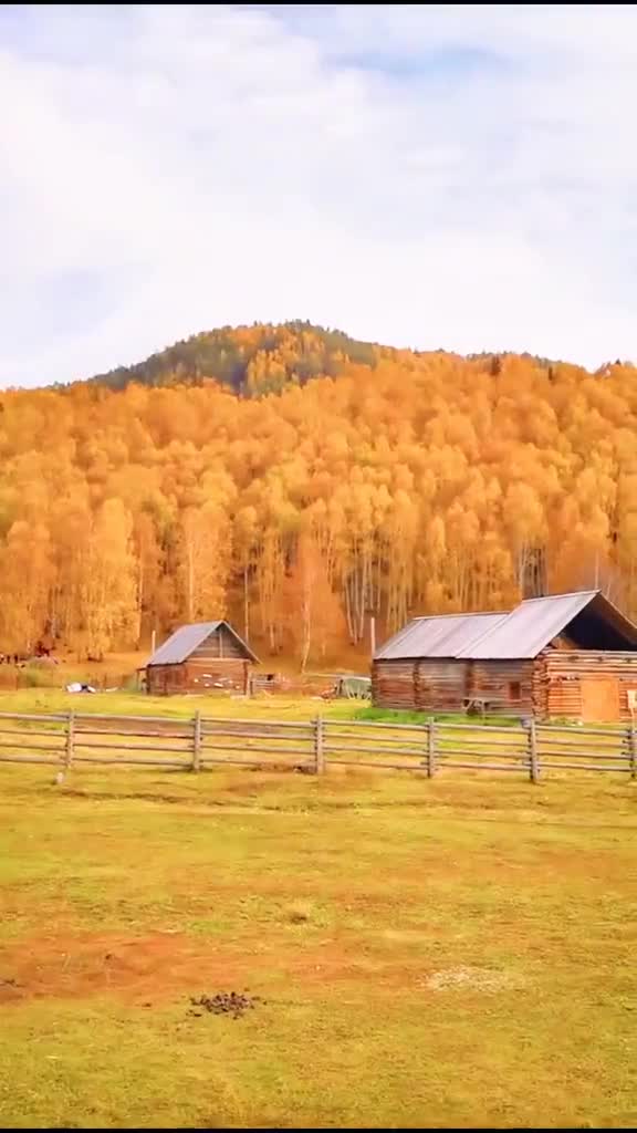 小眼鑫的再不会可以说是十分惊艳了唱的真棒