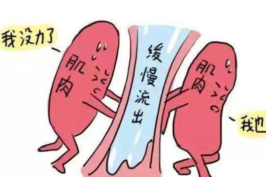 为什么有些女性一咳嗽就会漏尿原来是这些原因造成的早知早好