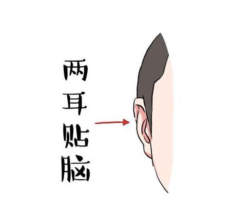 最有福气的3种耳朵,一看就是当官的料,有钱的样!