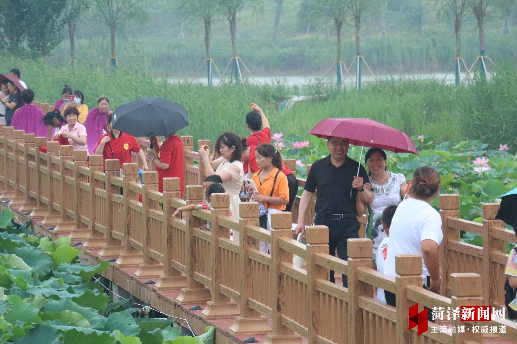 山东曹县第三届"荷花节·电商节"开幕