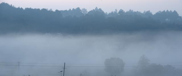 壮哉，美哉，冠市沙河河道平原上的晨雾