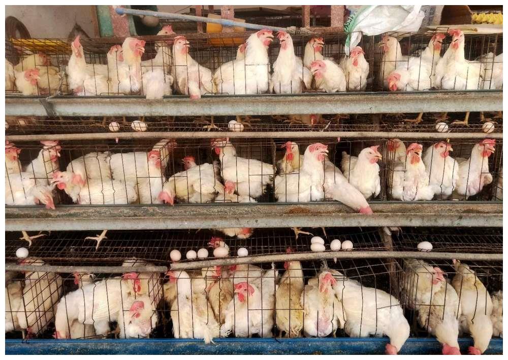 为什么找不到外星人?因为地球就是外星文明的动物园?...