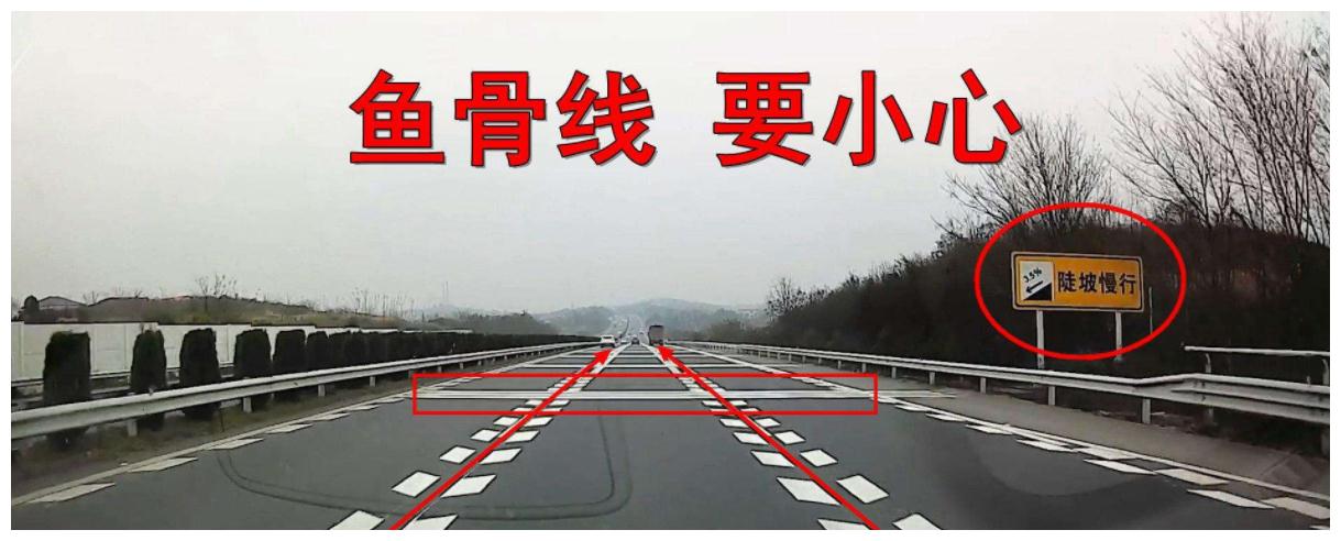 高速公路又添一条标线，形似鱼骨全是刺，走错就要扣3分