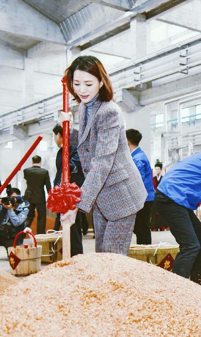 董卿穿格纹西装娴静端庄美得知性大气