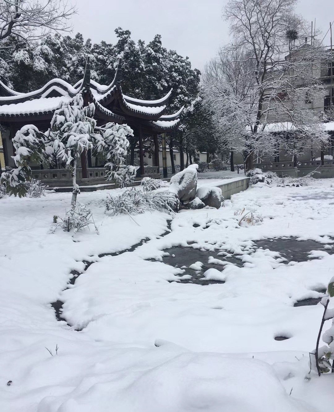 苏州的雪景,银装素裹的江南,如天堂来到了人间!