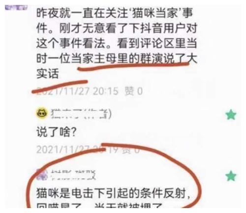《当家主母》先后两次回应，却拿不出真猫，疑似群演称猫已被电死休闲区蓝鸢梦想 - Www.slyday.coM