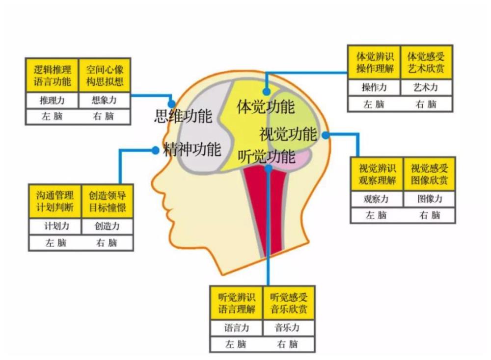 "图式"记忆法这是由伊曼努尔·康德提出的"图式"记忆法.