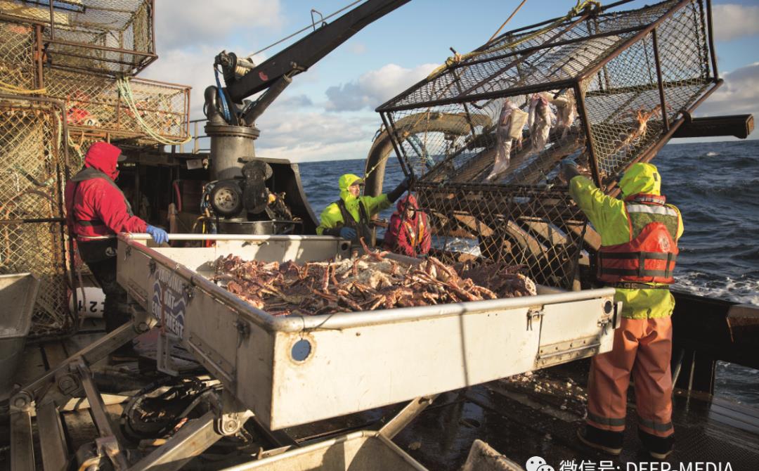 最危险也是最有魅力的职业恶海捕蟹记在恶海中的生死搏斗
