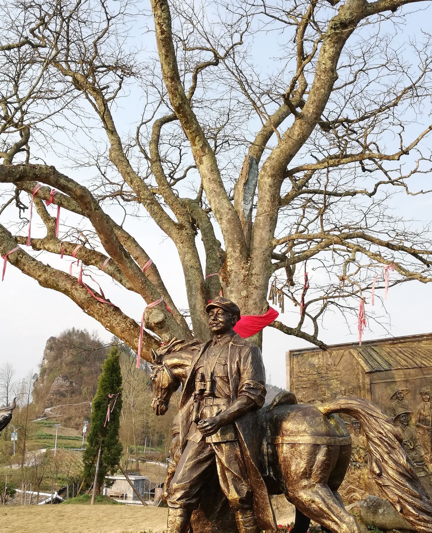 周末水车坪看红军树,寻找红军留下的足迹