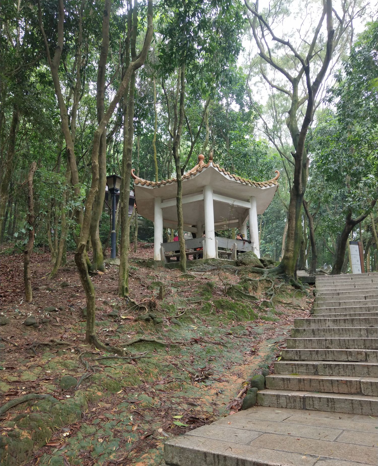 深圳宝安第一山——凤凰山